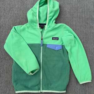 Patagonia Toddler Micro D Snap-T Fleece Jacket